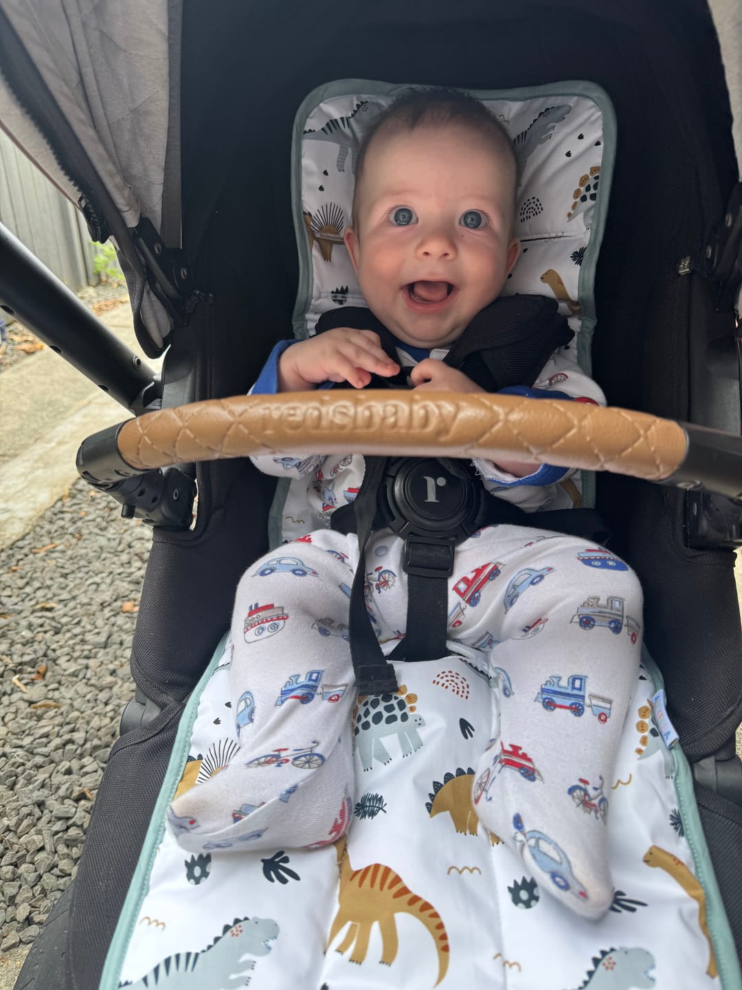 Customer photo review of All4Ella Pram Liner