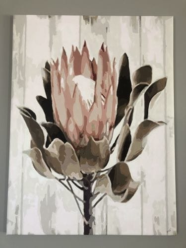 Customer photo review of Custom Paint by Numbers
