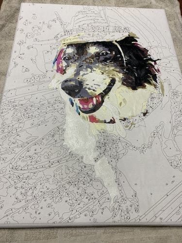 Customer photo review of Custom Paint by Numbers