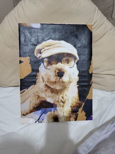 Customer photo review of Custom Paint by Numbers