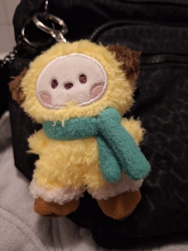 Customer photo review of BTS x BT21 - Boots Edition Mini Minini Doll Keyring