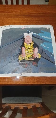 Customer photo review of Custom Paint by Numbers
