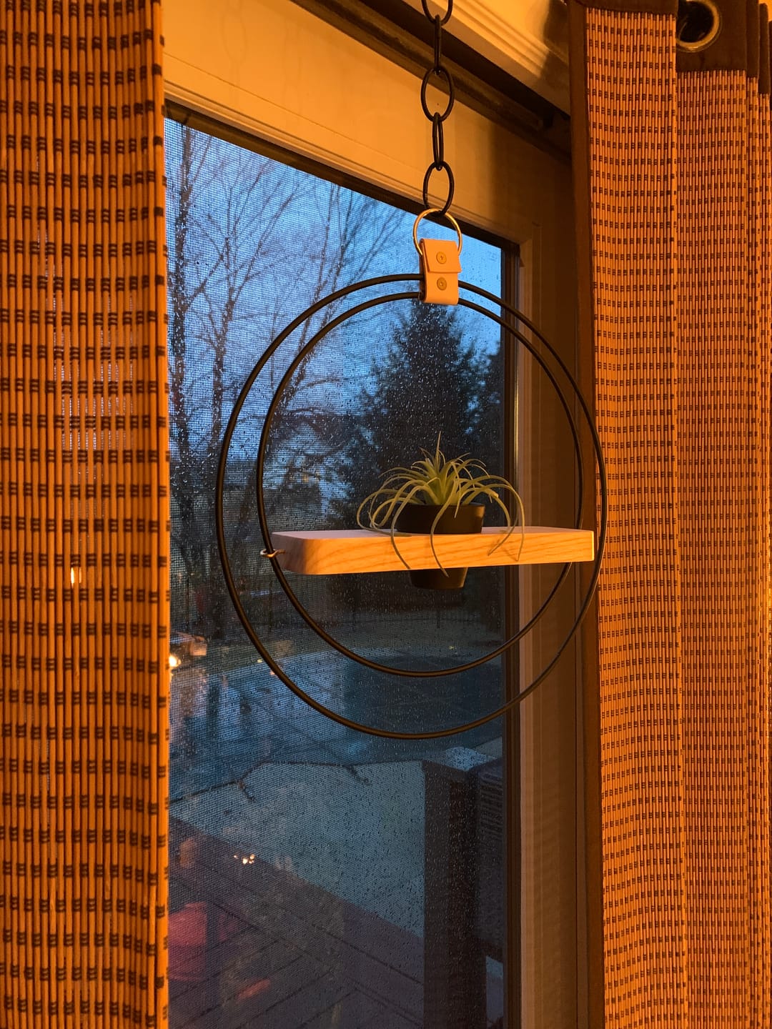 Customer photo review of Air Plant Shelf + Pot Trio