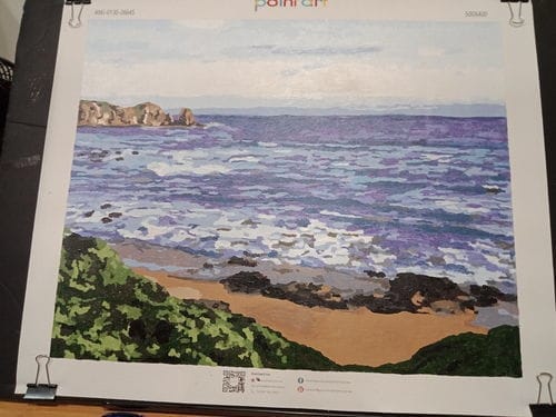 Customer photo review of Custom Paint by Numbers