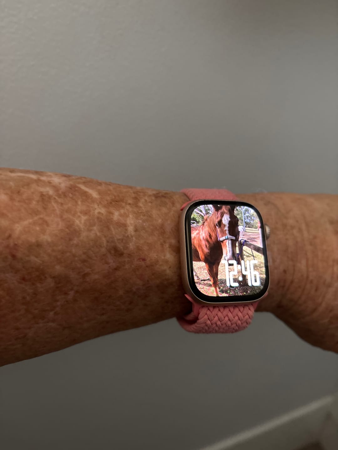Customer photo review of Terra Loop Band