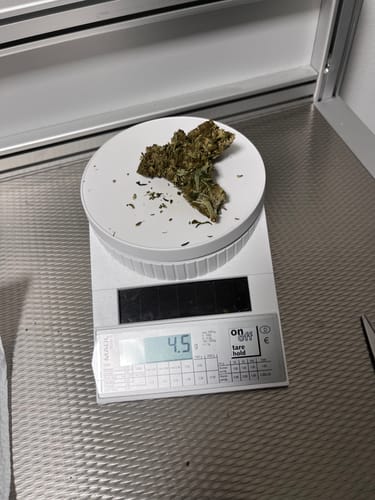 Customer photo review of 🍋 Lemon King - Power LVL 5/5