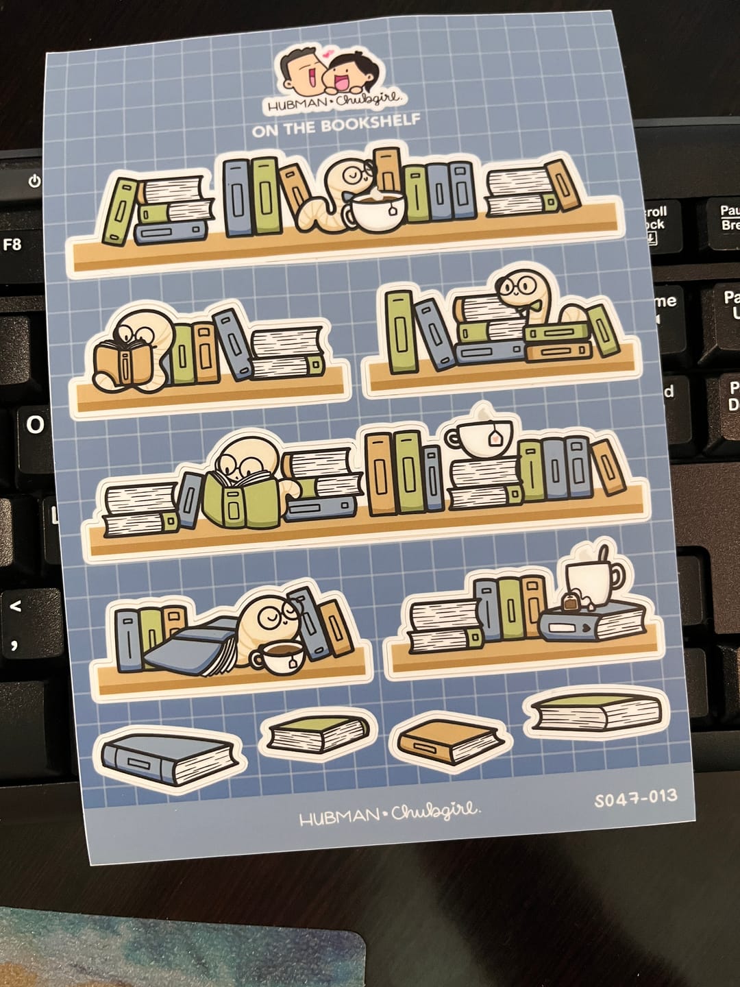 Customer photo review of On the Bookshelf Sticker Sheet