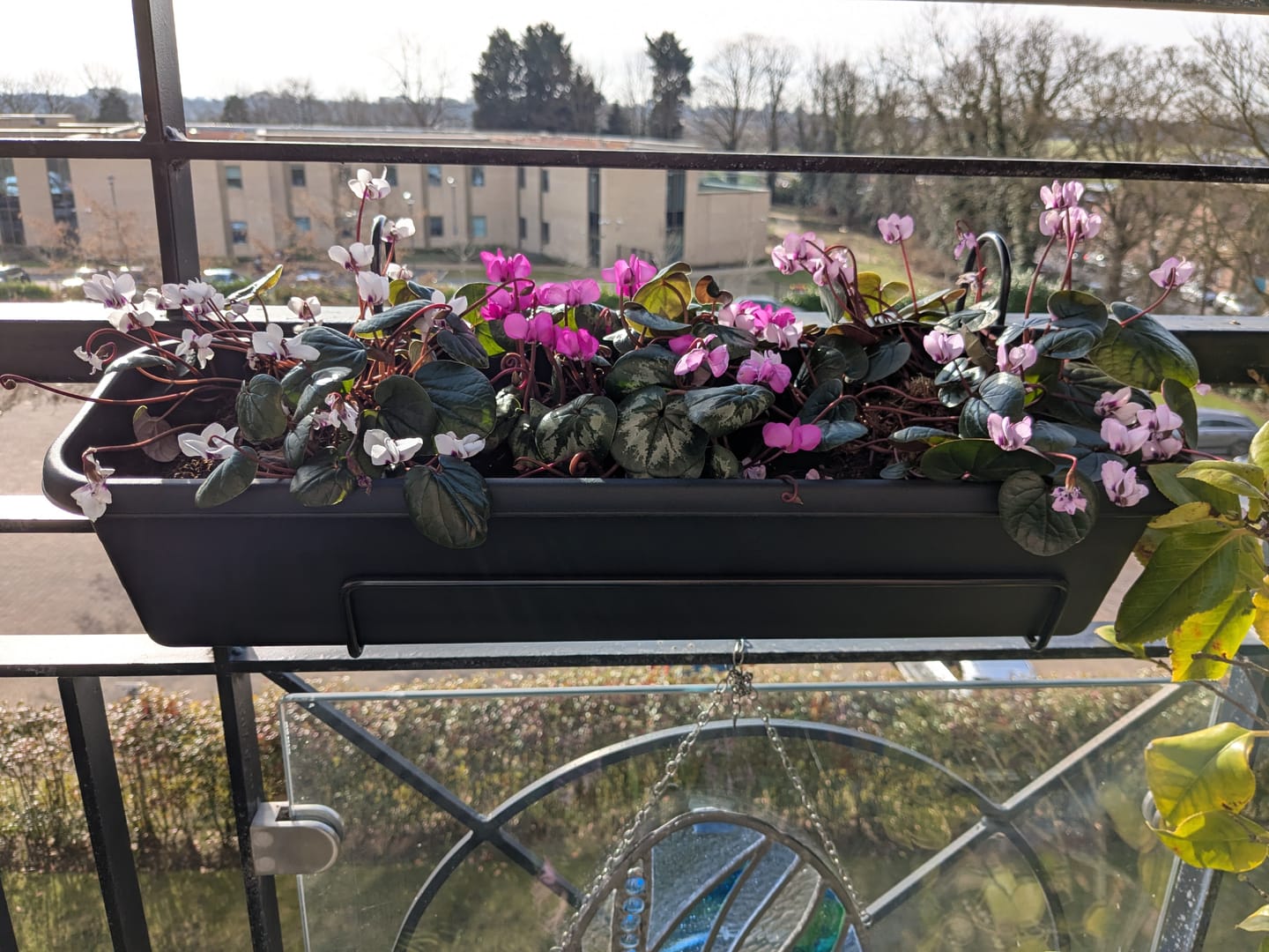Customer photo review of Stewart 60cm Balcony Trough Set - Black