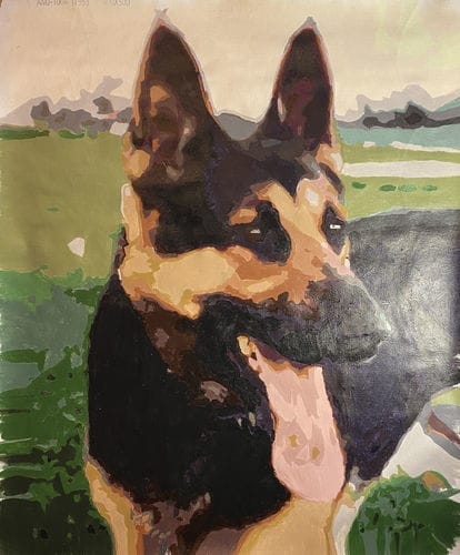 Customer photo review of Custom Paint by Numbers