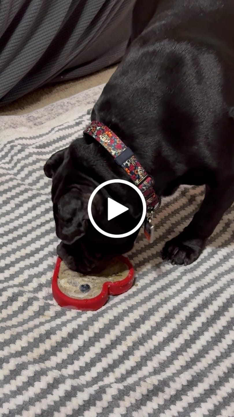 Customer video review of FreezHeart - Durable Heart Enrichment Chew