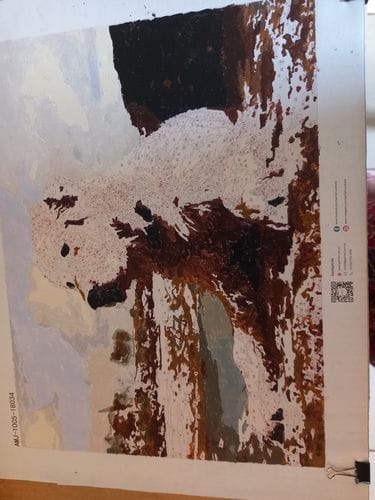 Customer photo review of Custom Paint by Numbers