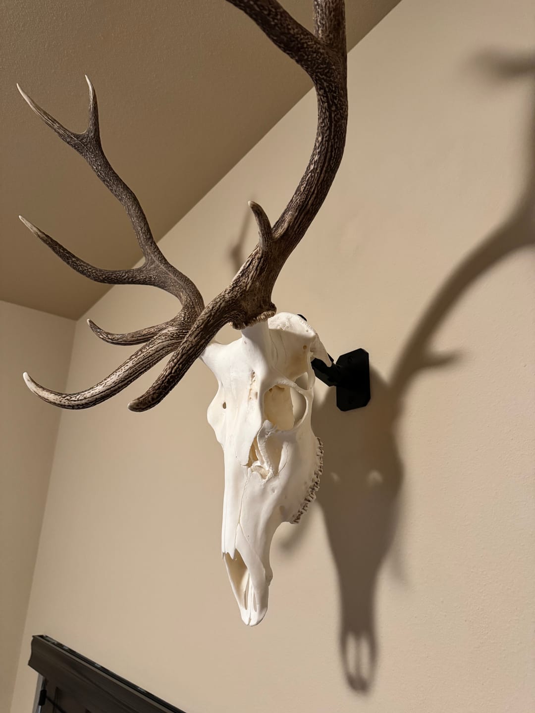 Customer photo review of SkulLok | Large Game
