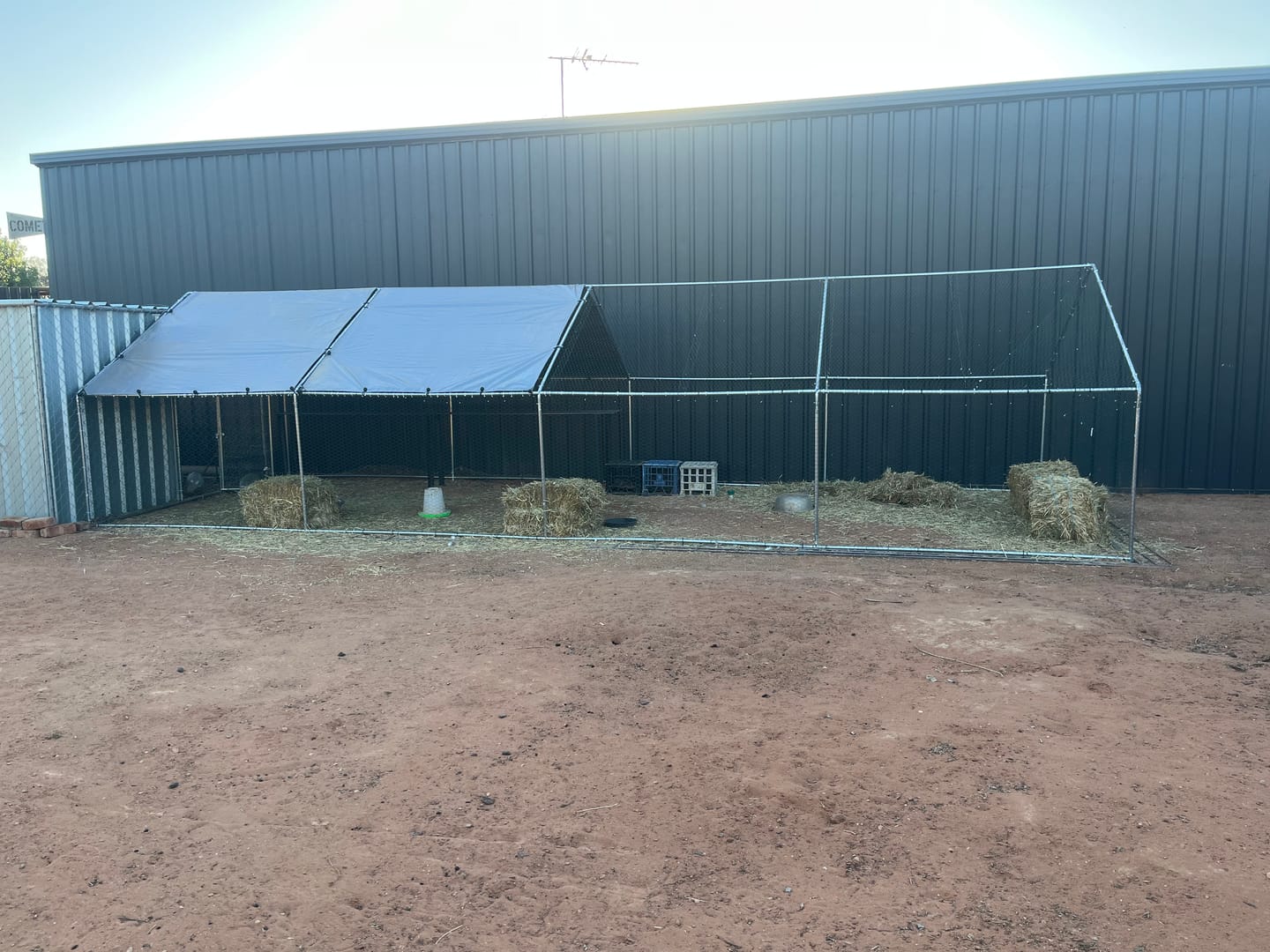 Customer photo review of Pets Gear Premium Large Walk In Chicken Coop