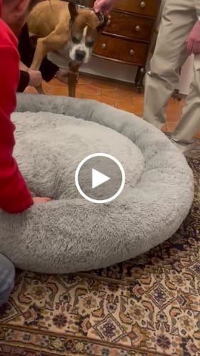 Customer video review of Cama Antiestrés para Perros