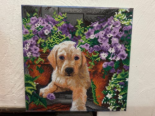 Customer photo review of "Floral Pup" Crystal Art Kit 30x30cm