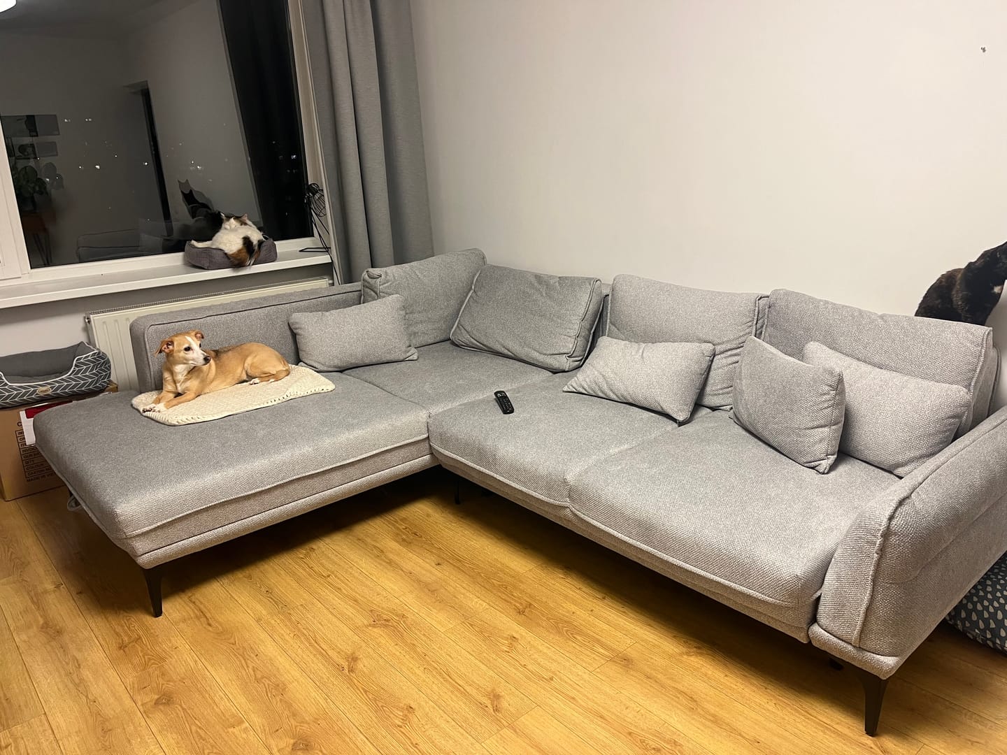 Customer photo review of Minkštas kampas Amore