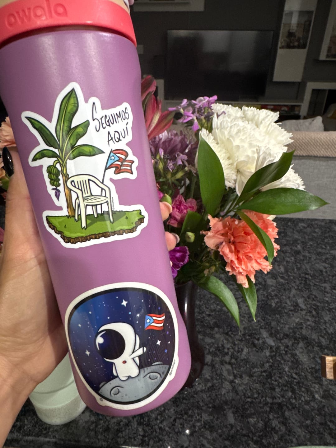 Customer photo review of Boricua en la Luna