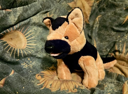 Customer photo review of Woof Woof the Dog