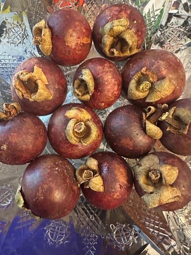 Customer photo review of Mangosteen