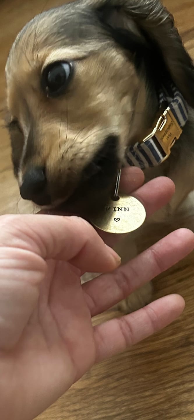 Customer photo review of Hand Stamped Pet ID Tag