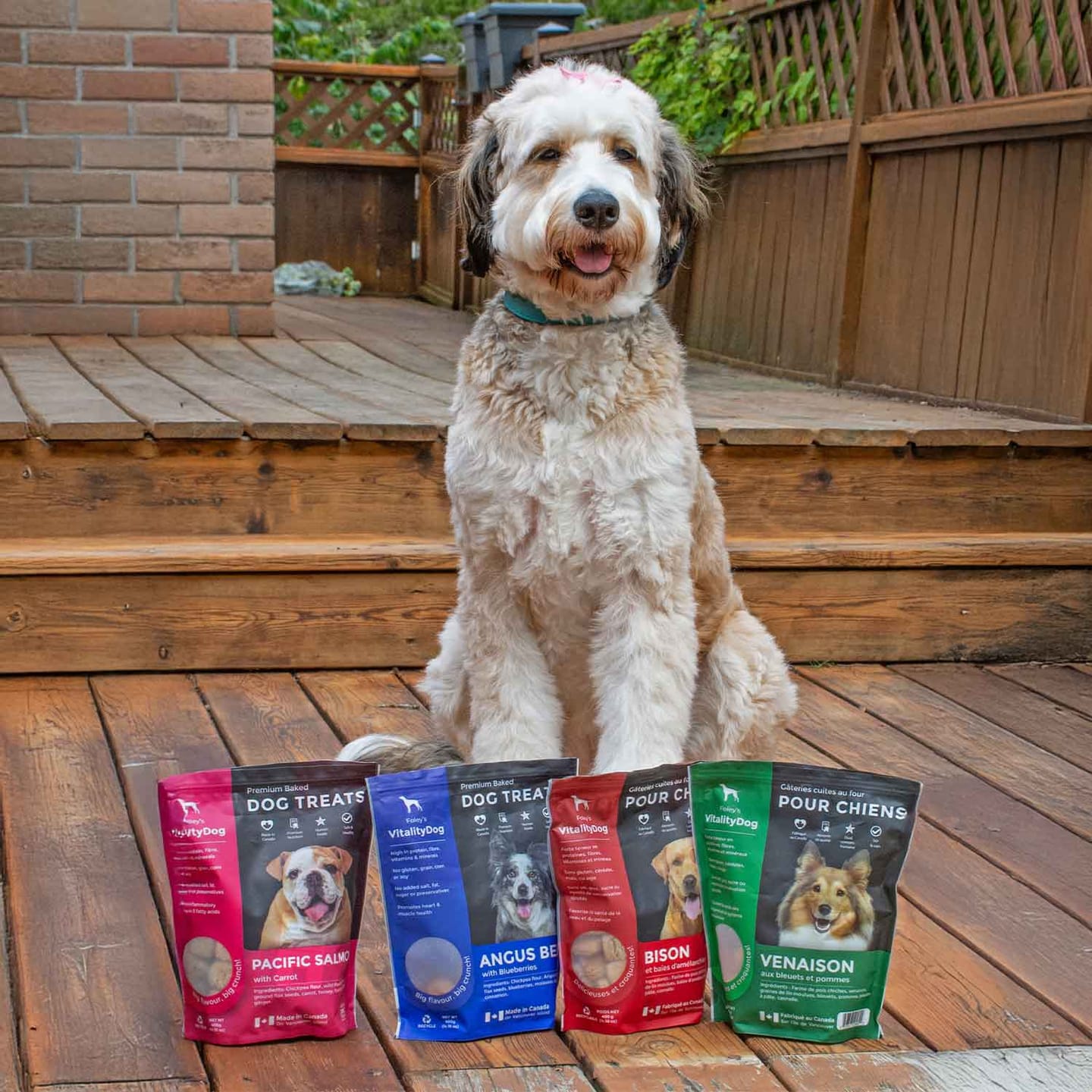 Customer photo review of Bison with Saskatoon Berries