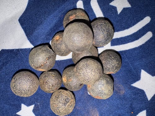 Customer photo review of Original Raw Nepal Rudraksha Sacred Fruit-Tears of Lord Shiva for Offer