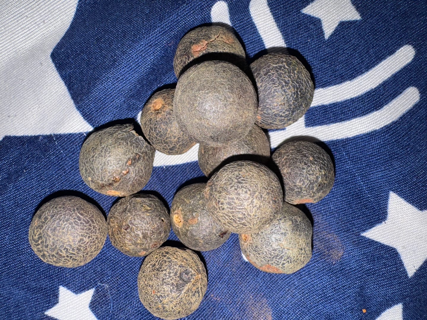 Customer photo review of Original Raw Nepal Rudraksha Fruit (Only Prepaid Order)