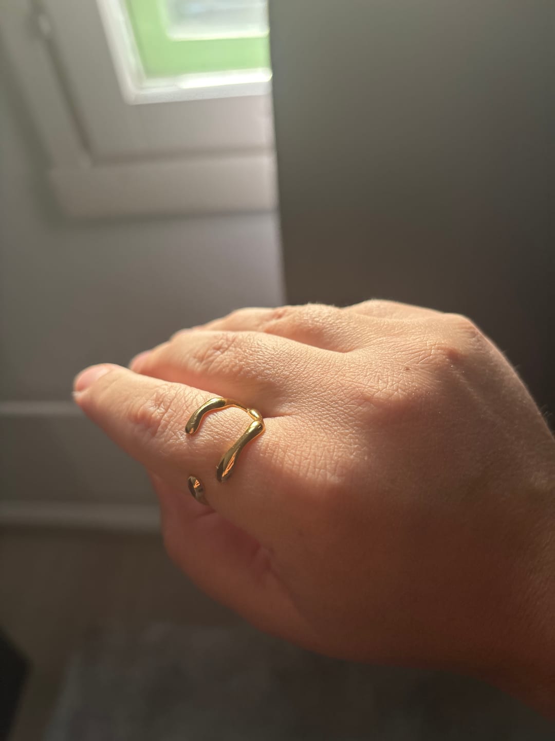 Customer photo review of Clara - Claw Ring Stainless Steel