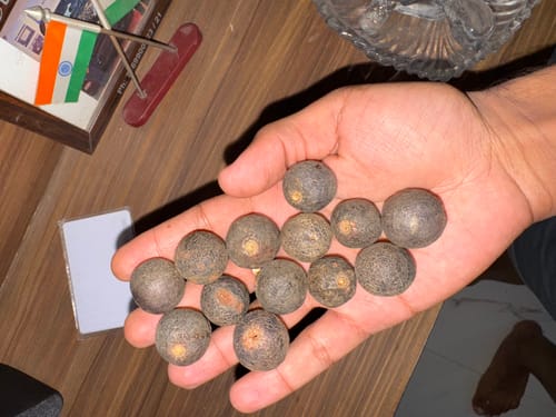 Customer photo review of Original Raw Nepal Rudraksha Sacred Fruit-Tears of Lord Shiva for Offer
