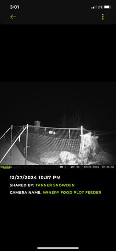 Customer photo review of Pig Brig Trap System