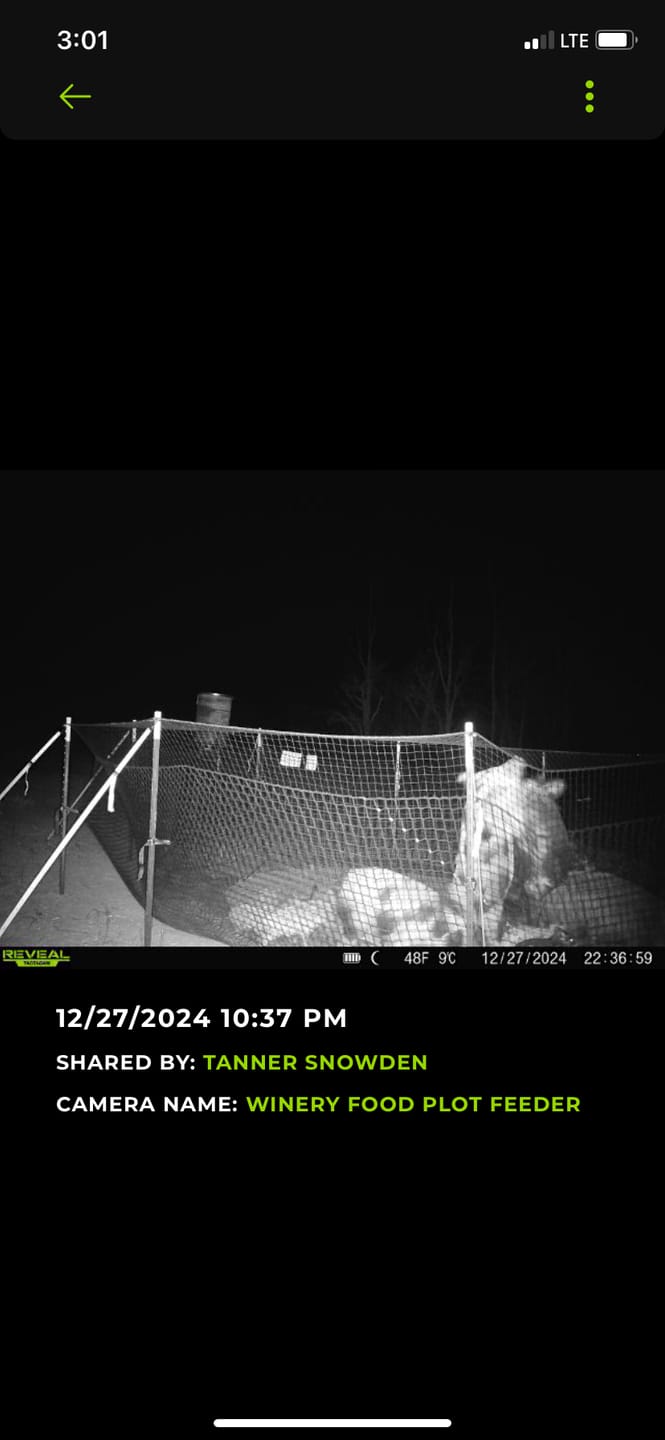 Customer photo review of Pig Brig Trap System