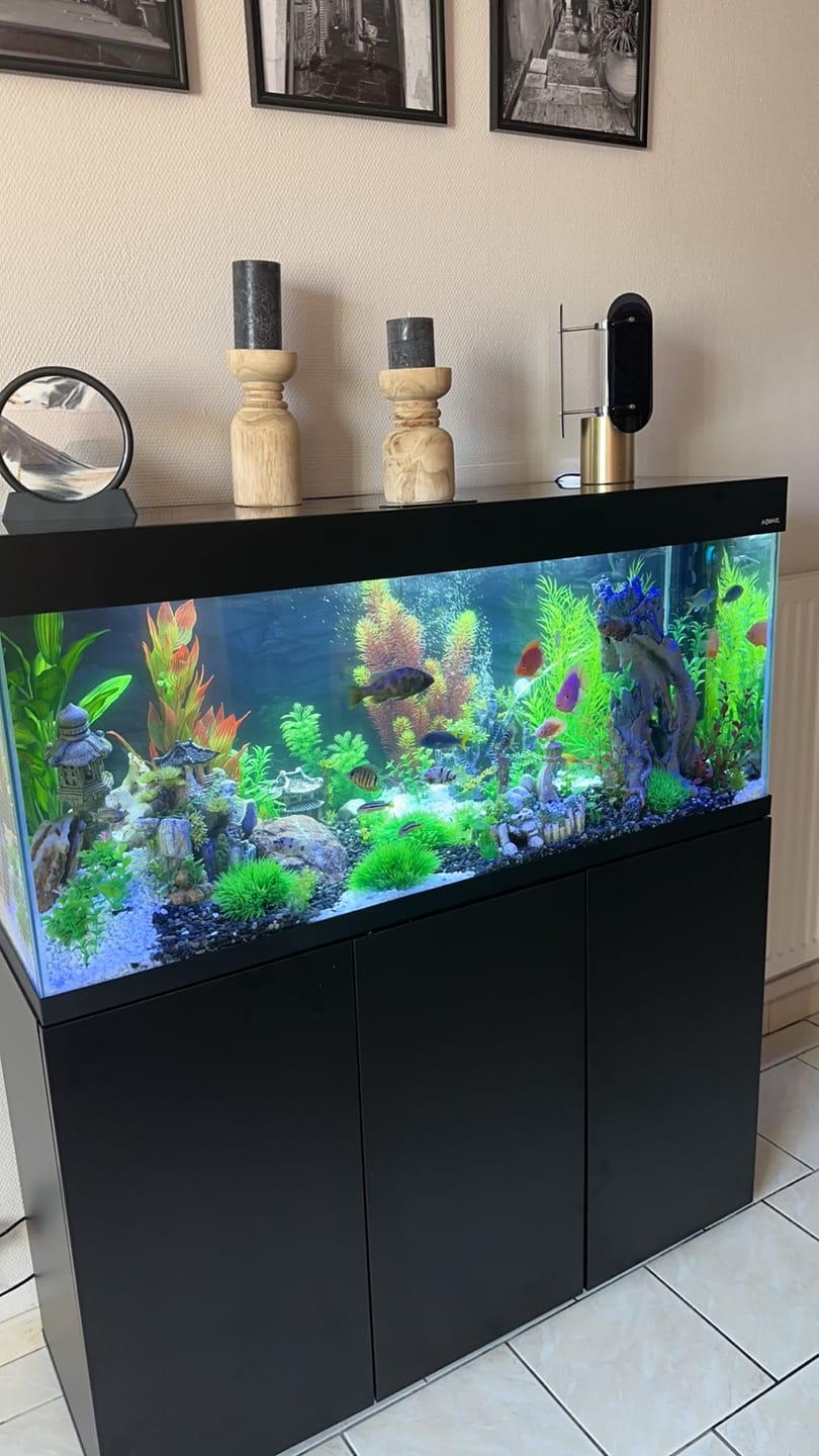 Customer photo review of Aquarium Opti Set 240 Noir AQUAEL - 240L