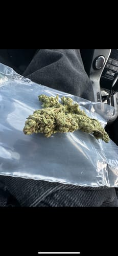 Customer photo review of OG Kush - 4 Grams - Indica