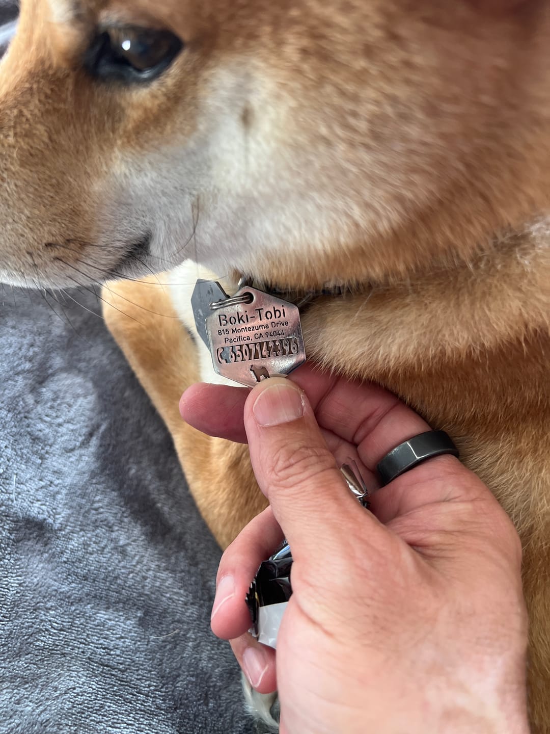 Customer photo review of Hollow-carved Dog ID Tags