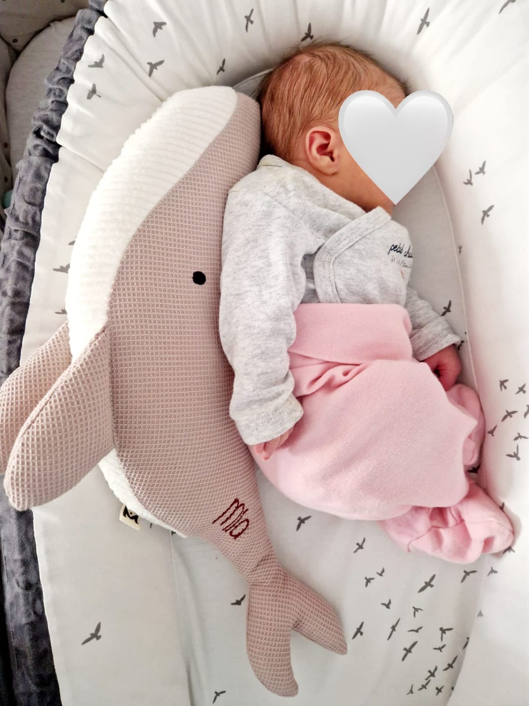 Customer photo review of Peluche ballena Susi - rosa