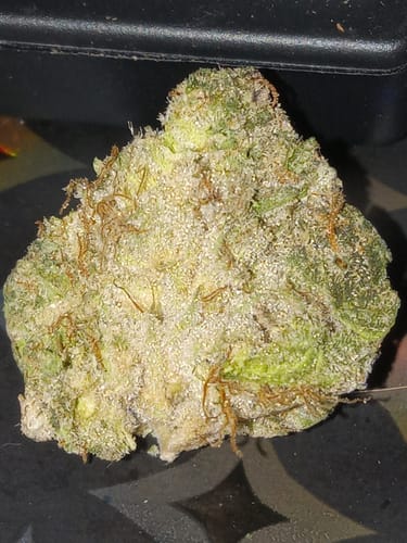 Customer photo review of Cap Junky