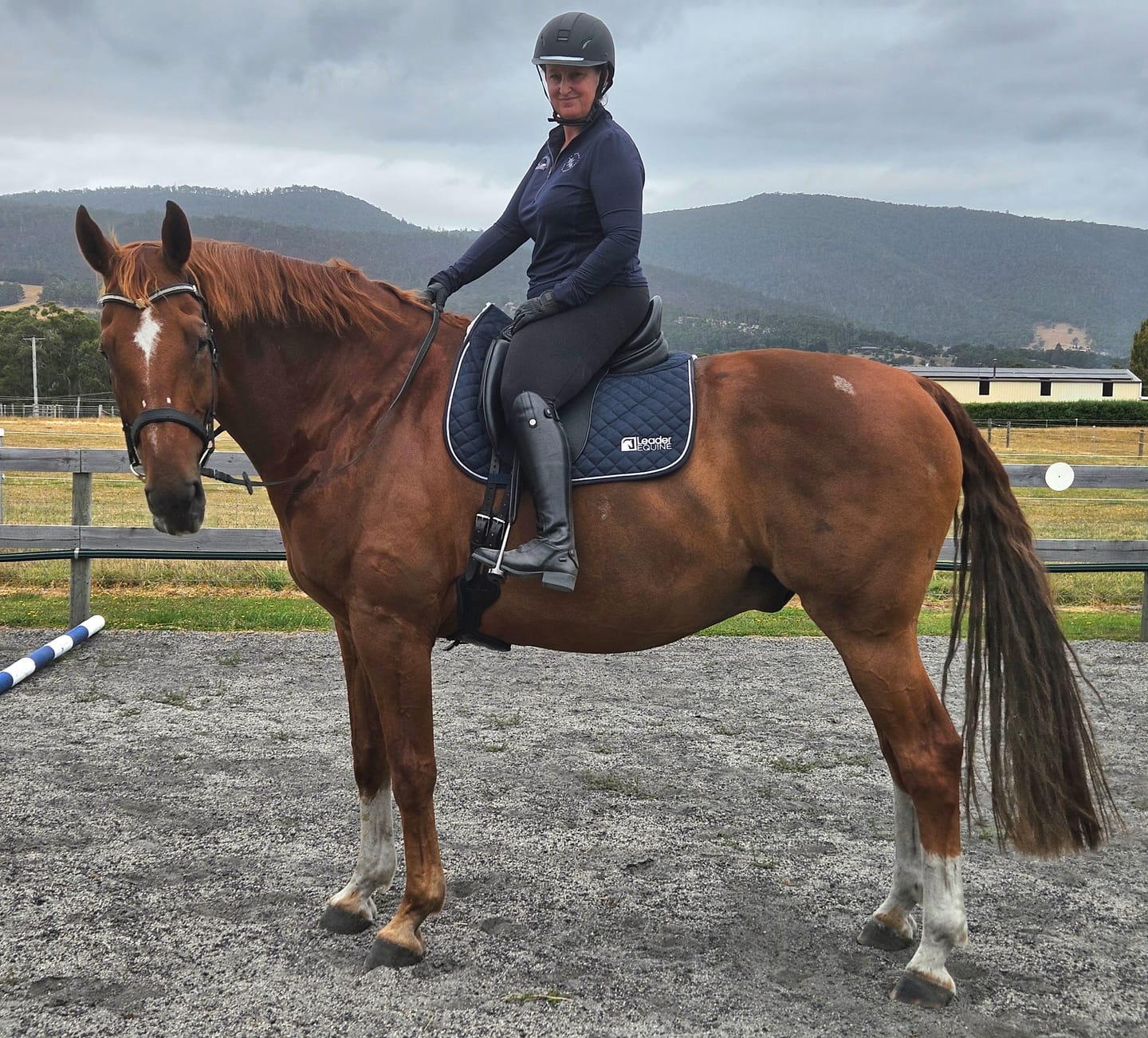 Customer photo review of LE Performance Dressage Saddle Pad with Shims