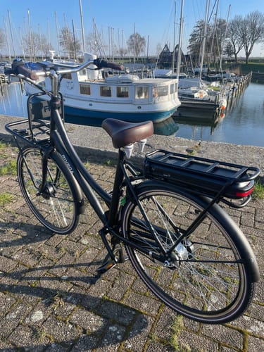 Customer photo review of E-Cargo N7