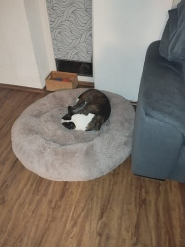 Customer photo review of Puppery Hundebett Wolke 7 - Das Original