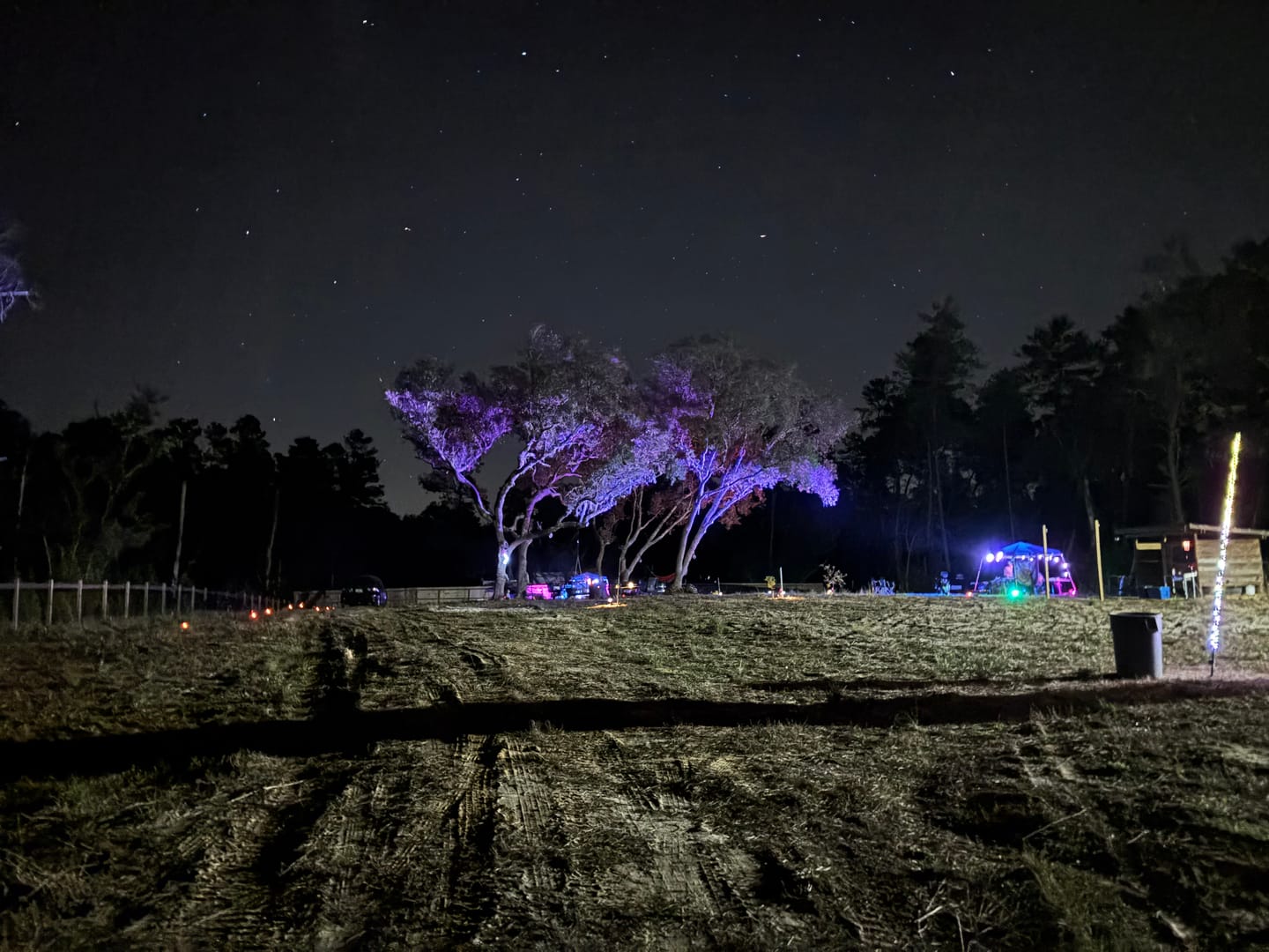 Customer photo review of RGB Solar Landscape Spotlights Waterproof