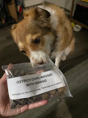 Customer photo review of 3-Pack Immune-Boosting Ostrich Dog Treat Box