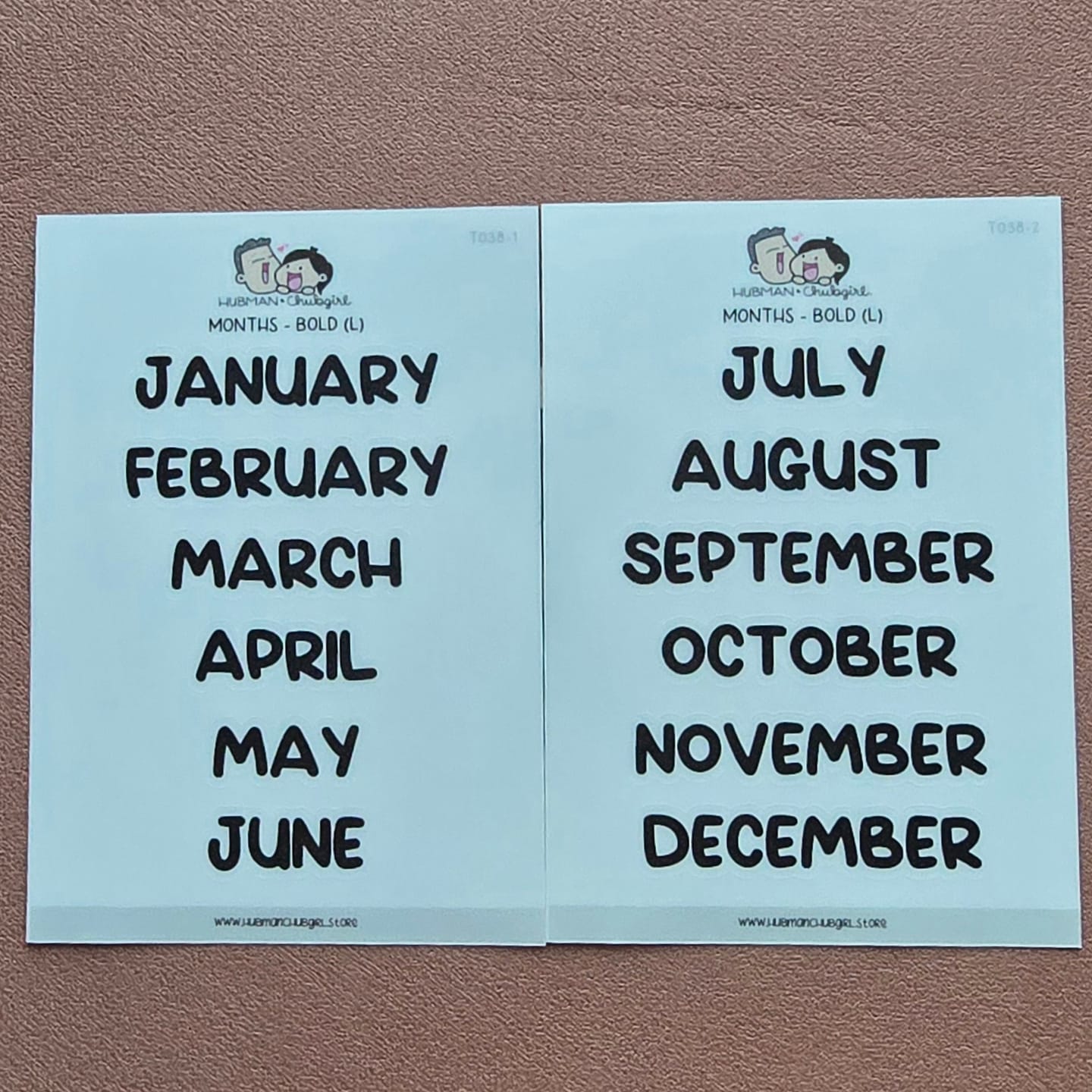 Customer photo review of Months - Bold Text (L)  - Set of 2 Planner Stickers