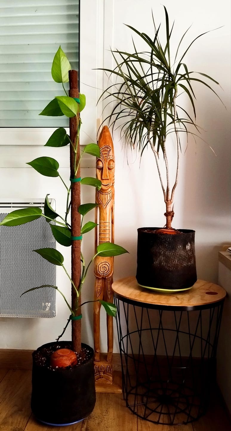 Customer photo review of Biobased Climbing Pole