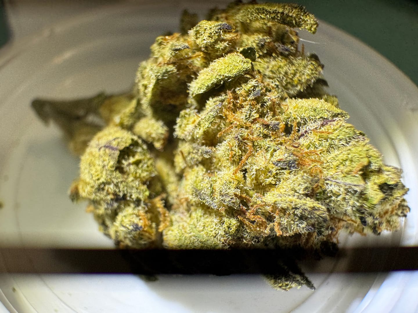 Customer photo review of Sunrise to Sunset Exotic Smalls Bundle