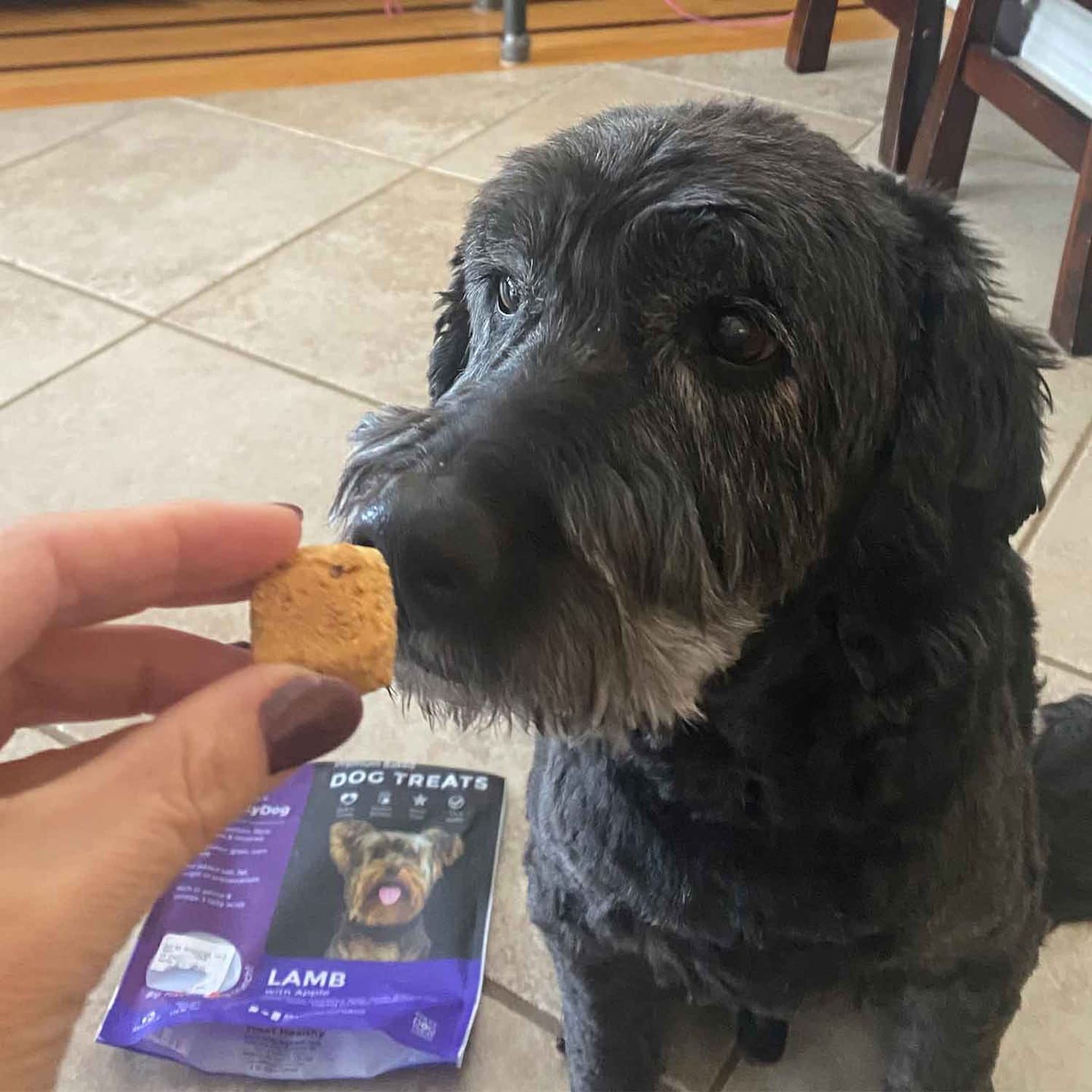 Customer photo review of Lamb with Apple