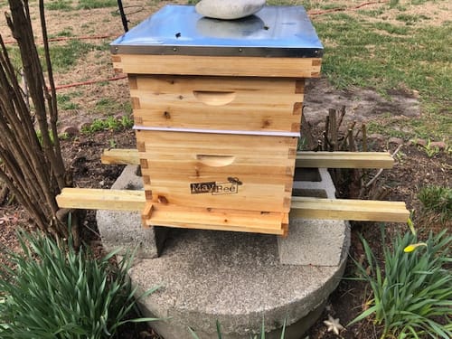 Customer photo review of MayBee Hives Wax-Coated 10 Frame 2 Layer Honey Bee Hives Include 1 Deep Hive Box and 1 Medium Super Bee Box,Suitable for Langstroth Beehive