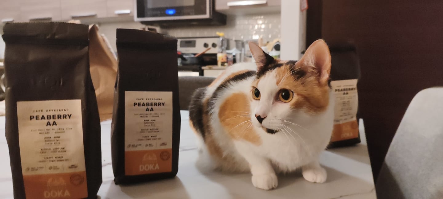 Customer photo review of Café Hacienda Doka Peaberry AA Molido