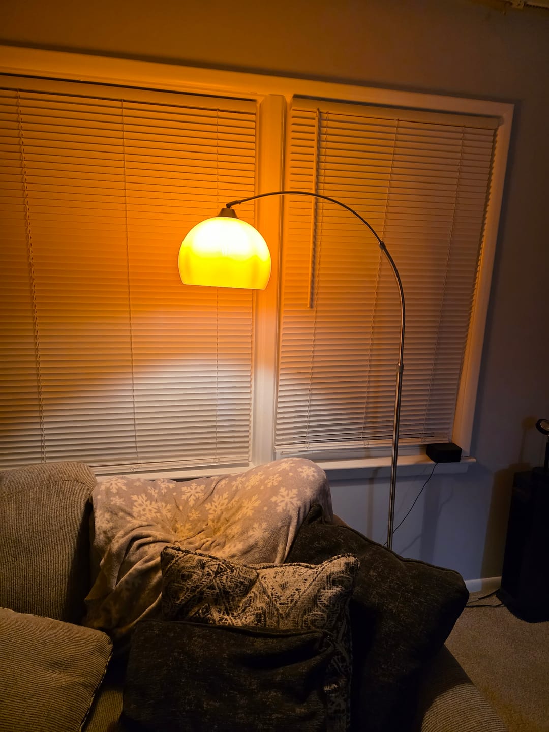 Customer photo review of Orange Dome Modern Arched Metal LED Floor Lamp