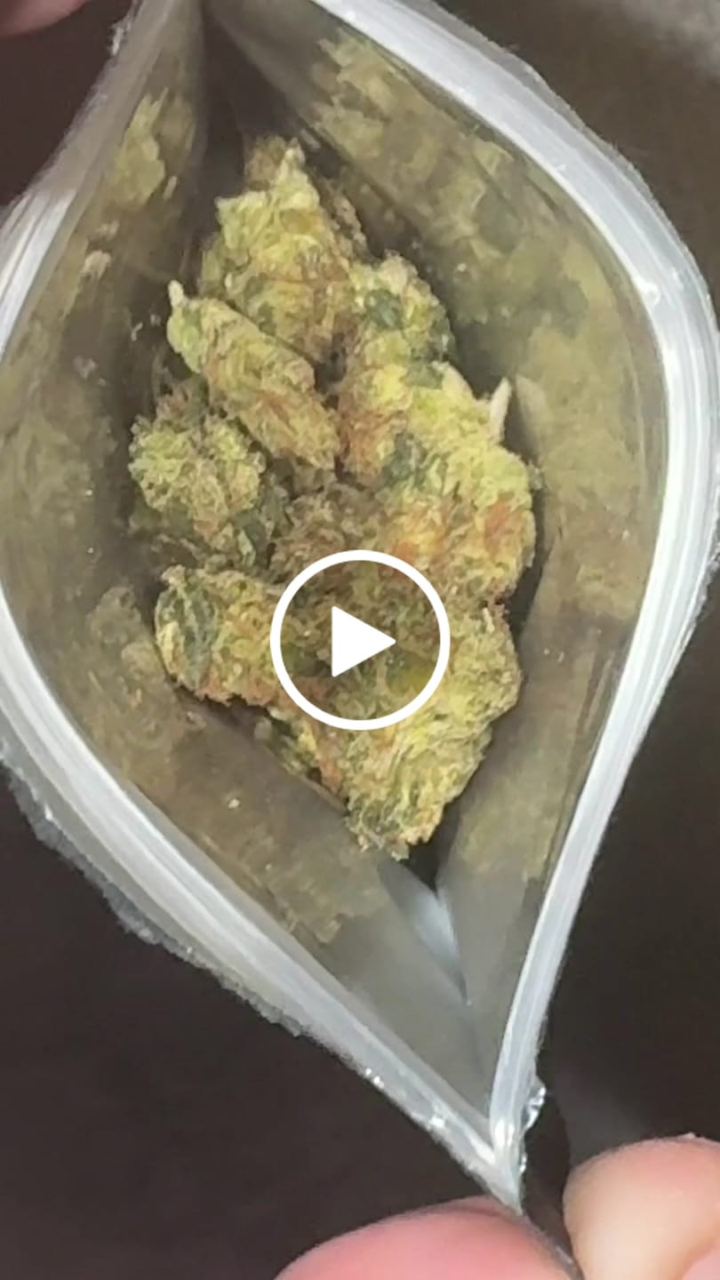 Customer video review of GELATO x 10-HC 40%