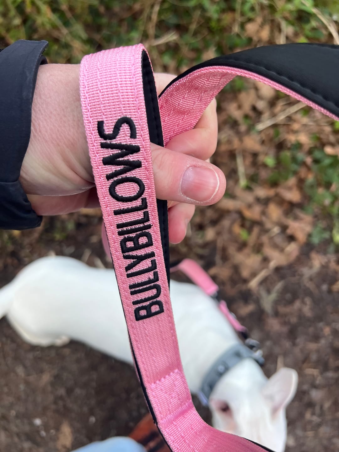Customer photo review of 1.4m Swivel Combat Lead | Anti-Tangle & Secure Clip - Pink